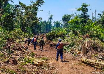 Medio ambiente en peligro de extinción en Nicaragua