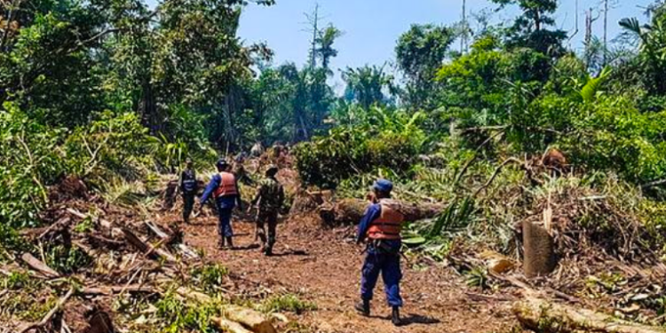 Medio ambiente en peligro de extinción en Nicaragua