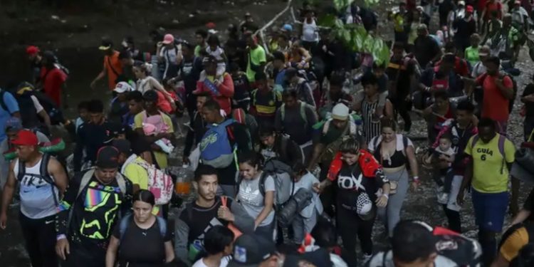 Medio millón de migrantes cruzó la selva del Darién en 2023