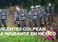 México anuncia el rescate de más de 750 migrantes centroamericanos que estaban retenidos o secuestrados