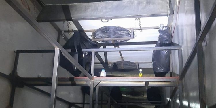 México encuentra a más de cien niños migrantes abandonados