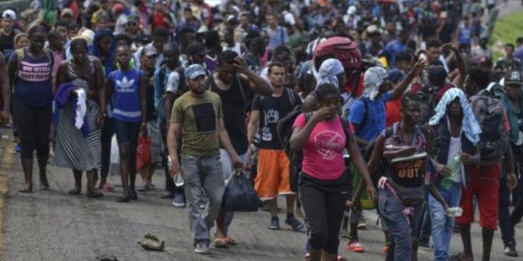México expulsa a 150 haitianos en masivo operativo migratorio hasta la frontera de Guatemala