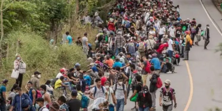 México ha invertido más de 100 millones de dólares para evitar la migración en Centroamérica