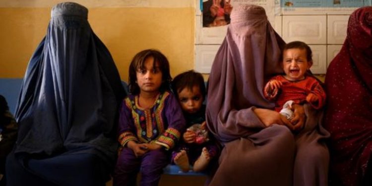 México procesa primeras solicitudes de refugio de ciudadanos afganos