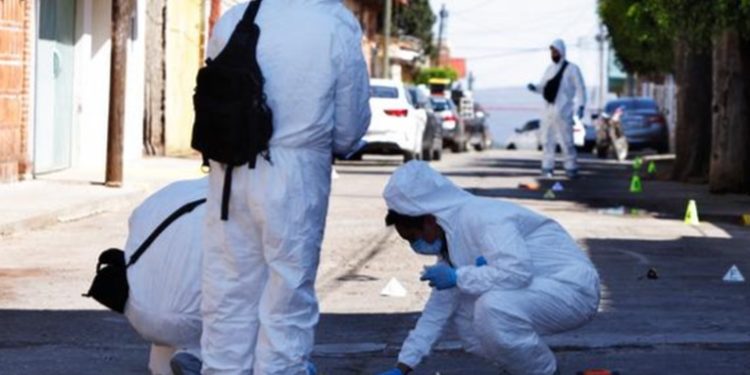 México: sicarios asesinan a 20 personas en un palenque de gallos