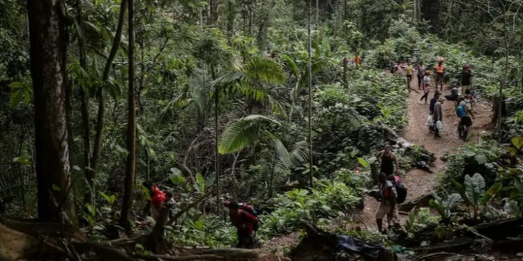 Migrantes deportados por EE.UU. llegan a la selva del Darién