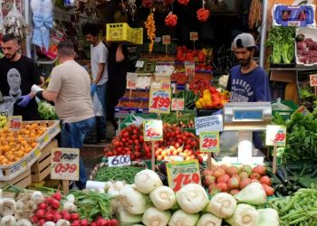 Mil millones de toneladas de comida desperdiciadas en 2022
