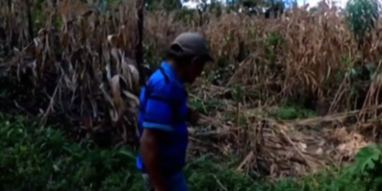 Miles de desplazados en Centroamérica por el cambio climático