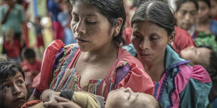 Millones de personas se encuentran en inseguridad alimentaria severa