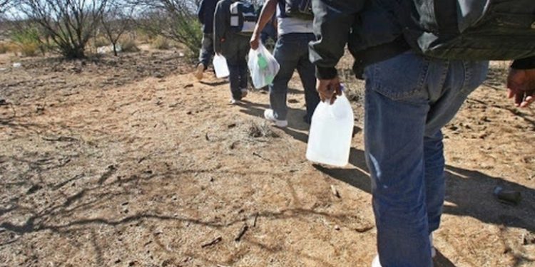 MINEX apoyará en la búsqueda de migrantes que hayan desaparecido en su camino a EEUU