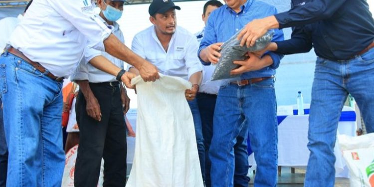 Ministerio de agricultura confirma disponibilidad de 96 mil raciones de alimentos para emergencias