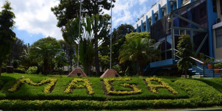 Ministerio de Agricultura, Ganaderí­a y Alimentación (MAGA), lanzo el proyecto de siembra de bambú en la cuenca del rí­o Motagua.