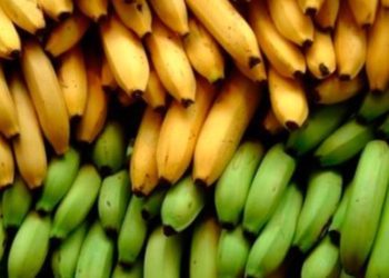 Ministerio de Agricultura implementará medidas sanitarias en ingresos al paí­s