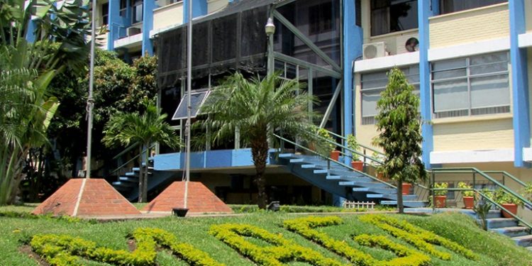 Ministerio de Agricultura otorga más de 40 mil seguros agrícolas a campesinos afectados por fenómenos naturales