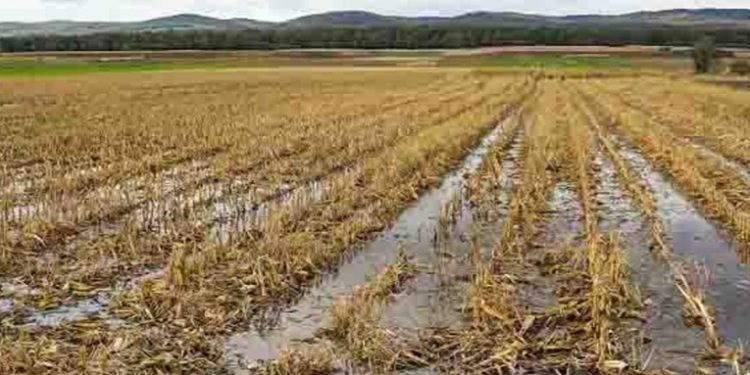 Ministerio de Agricultura Prevé Inundaciones y Activa Capacitación para Agricultores