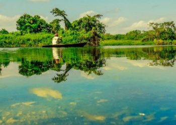 Ministerio de Ambiente lanza plan especial de reforestación para proteger los ríos La Pasión y San Pedro en Petén