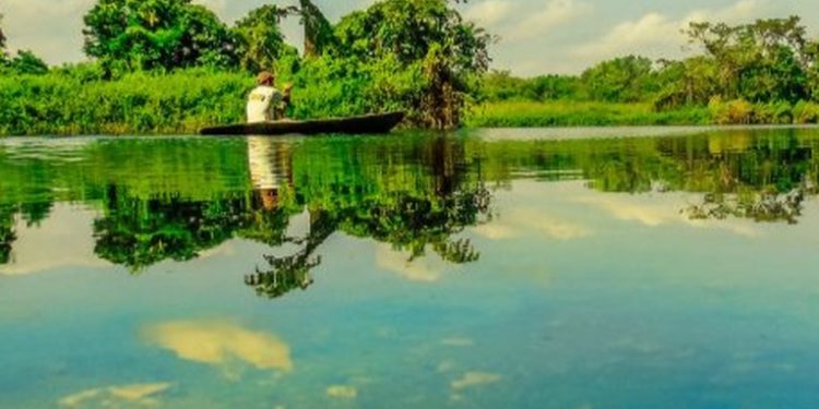 Ministerio de Ambiente lanza plan especial de reforestación para proteger los ríos La Pasión y San Pedro en Petén