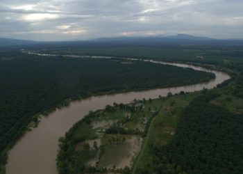 Ministerio de ambiente recoge en cinco meses más de 400 toneladas de basura en el rí­o Motagua