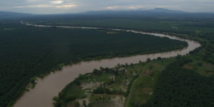 Ministerio de ambiente recoge en cinco meses más de 400 toneladas de basura en el rí­o Motagua