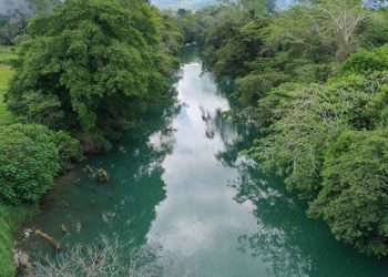 Ministerio de Ambiente reporta una denuncia diaria por contaminación de ríos y lagos
