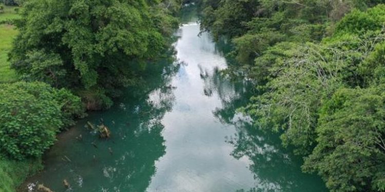 Ministerio de Ambiente reporta una denuncia diaria por contaminación de ríos y lagos