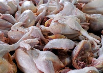 Ministerio de Economí­a busca evitar especulación en precios de carnes de aves por la gripe aviar