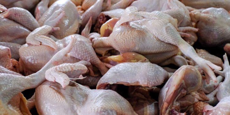 Ministerio de Economí­a busca evitar especulación en precios de carnes de aves por la gripe aviar