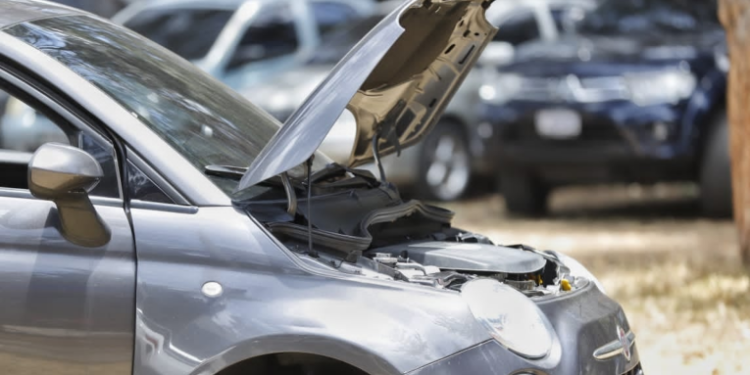 Ministerio de Energí­a y Minas (MEM) presenta modelos de carros eléctricos