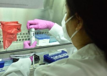 Ministerio de Salud enví­a mas de 90 muestras a Panamá