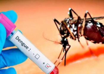 Ministerio de salud prevé un aumento sostenido de casos de dengue