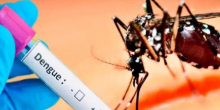 Ministerio de salud prevé un aumento sostenido de casos de dengue