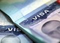 Ministerio de Trabajo buscará aumentar el número de visas temporales para el próximo año