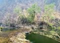 Ministerio Público inicia inspecciones en restaurantes cerca de Semuc Champey tras Incendio forestal