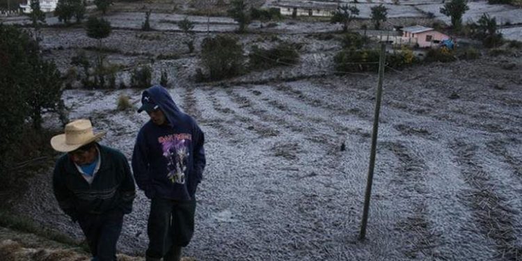 Monitoreos y recomendaciones de autoridades por frentes fríos