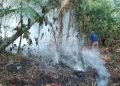 MP investiga incendio de pipa que causó desastre forestal en la Sierra de las Minas