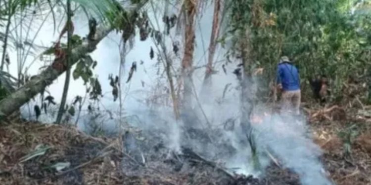 MP investiga incendio de pipa que causó desastre forestal en la Sierra de las Minas