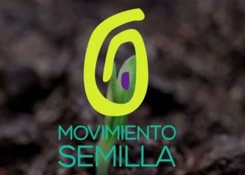 MP señala que resolución de la CC sobre Semilla podría contravenir orden judicial