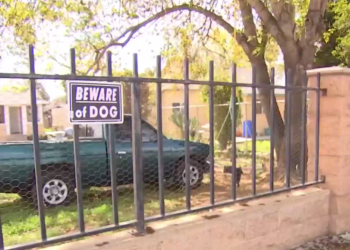 Muere migrante guatemalteco luego de ser atacado por perros en Estados Unidos