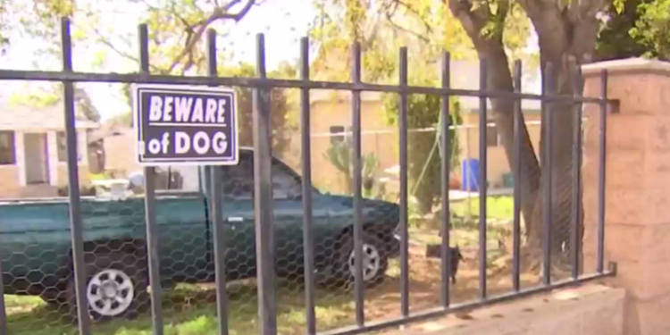 Muere migrante guatemalteco luego de ser atacado por perros en Estados Unidos