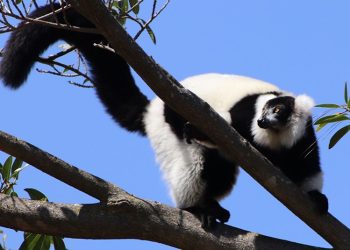 Mundo Escondido de Terra América en Zoo La Aurora