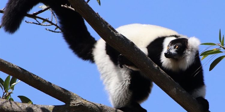 Mundo Escondido de Terra América en Zoo La Aurora