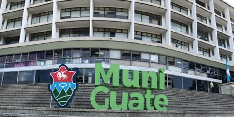 Municipalidad comienza siembra de arboles