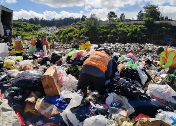 Municipalidades enfrentan desafíos ante inicio de norma de separación de basura el próximo 11 de febrero