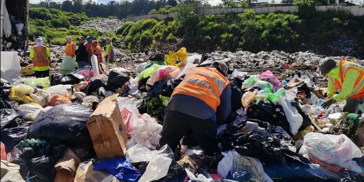 Municipalidades enfrentan desafíos ante inicio de norma de separación de basura el próximo 11 de febrero