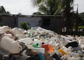 Municipalidades piden prórroga para implementar ley de separación de desechos sólidos
