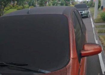 Municipios del Departamento de Guatemala son afectados por la ceniza