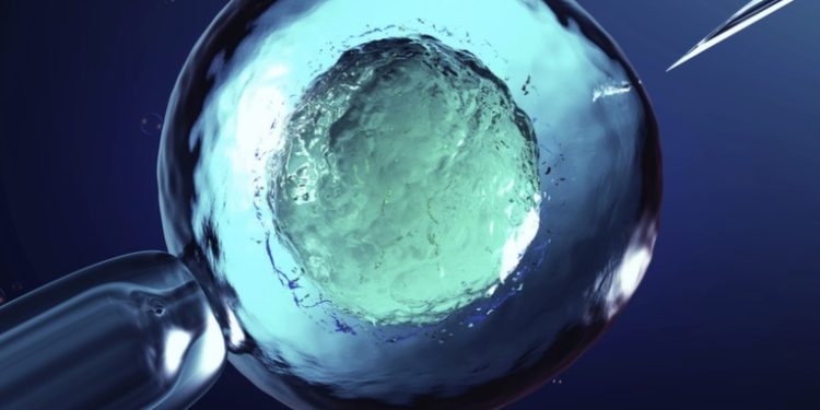 Nace el primer bebé británico con ADN de tres personas