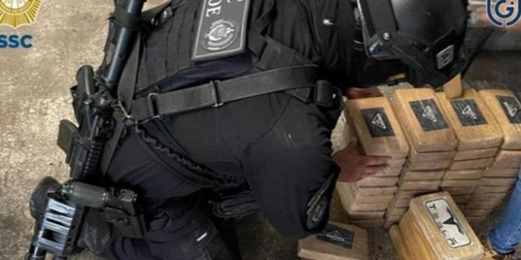 Narco y crimen en América: por qué no se combaten en conjunto