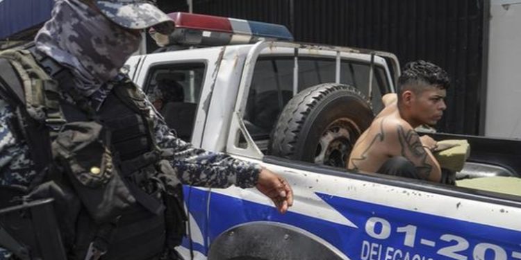 Nayib Bukele: hay que -arreciar la guerra contra las pandillas- en El Salvador