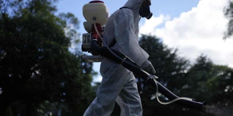 No nos están cuidando: Mirtha Legrand carga contra Milei por la crisis del dengue